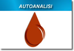 Autoanalisi